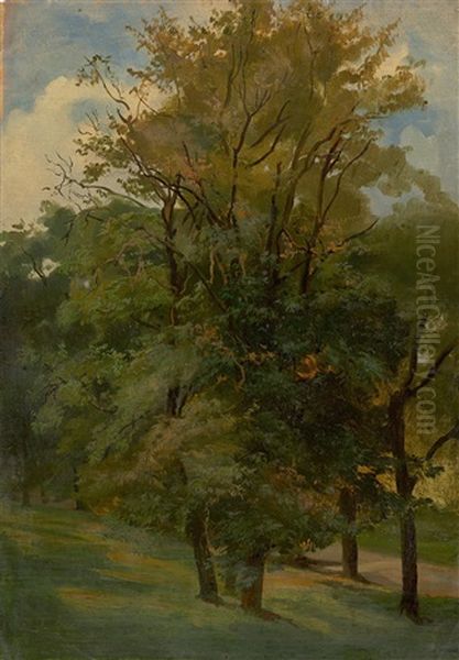Trees Near Weimar - view 1