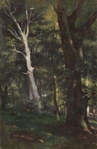 Von Der Ostsee: Buche Und Eiche Auf Dem Vilm by Friedrich, the younger Preller