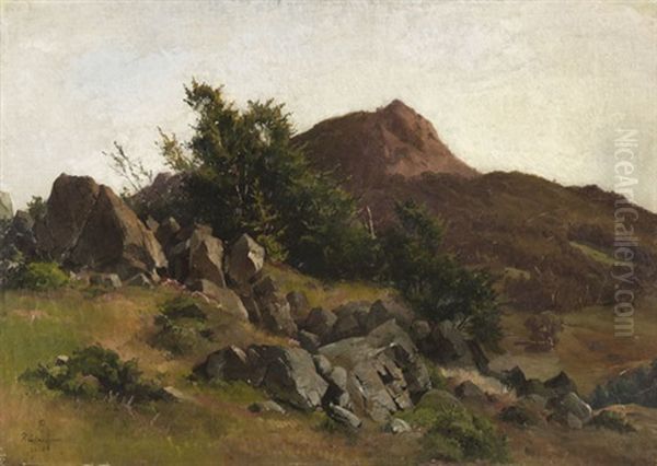 Felsenstudie Bei Kleinsassen In Der Rhon - view 1