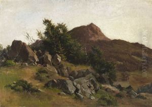 Felsenstudie Bei Kleinsassen In Der Rhon Felsenstudie Bei Kleinsassen In Der Rhon