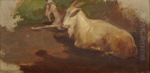 Zwei Ziegen, Ruhend (study) by Friedrich, the younger Preller