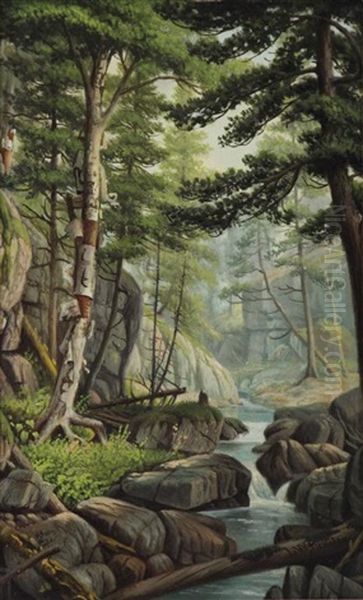 Wooded Landscape - view 1