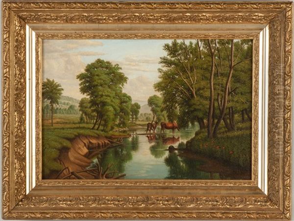 Onondaga Creek Above Syracuse, Ny - view 1