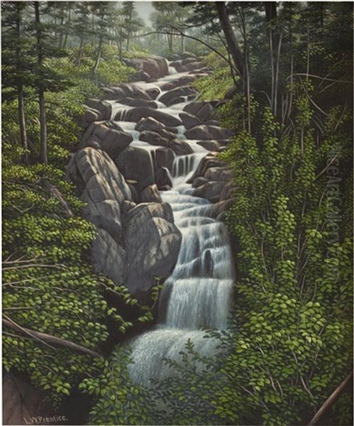 Waterfall In The Woods - view 1