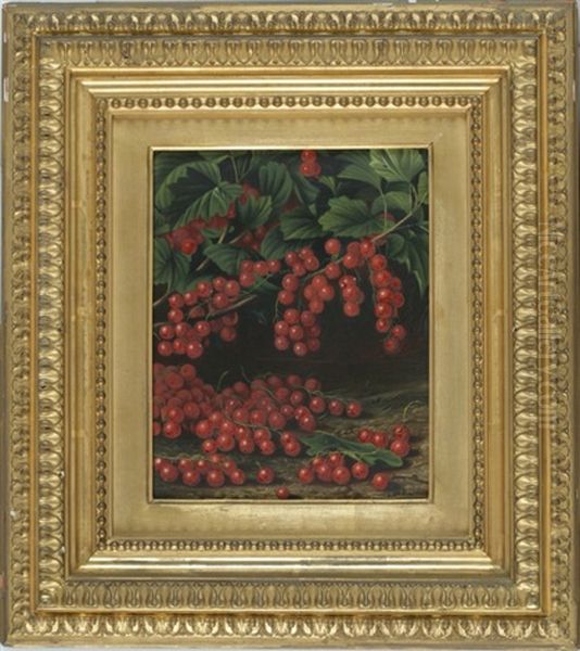 Currants Growing On A Vine - view 1
