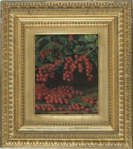 Currants Growing On A Vine Currants Growing On A Vine