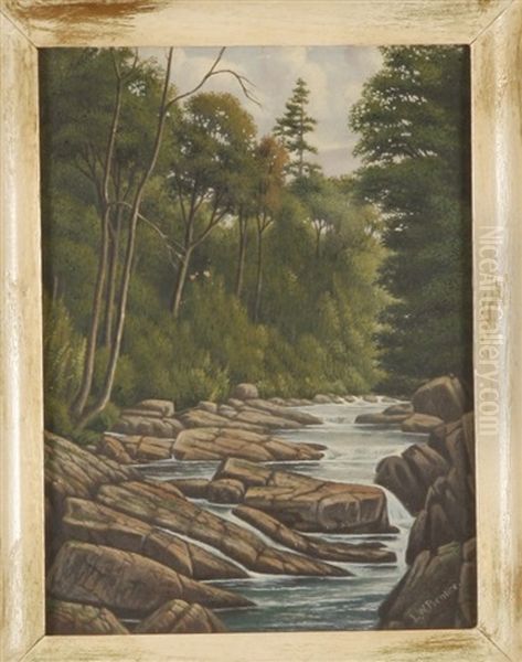 South Inlet, Raquette Lake - view 1
