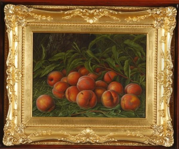 Peaches With Fly - view 1