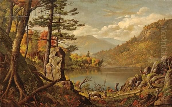 View Of The Adirondacks - view 1