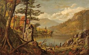 View Of The Adirondacks