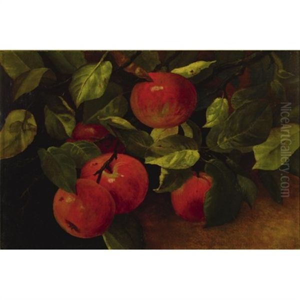 Five Apples - view 1