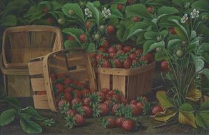 Baskets Of Strawberries