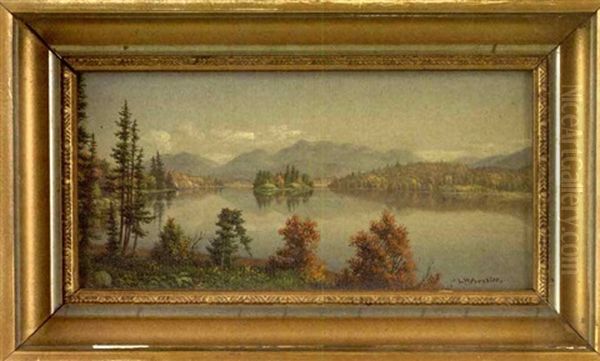 Long Lake From Bear Mountain, Adirondack - view 1