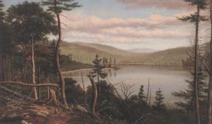 A View Of The Adirondacks by Levi Wells Prentice
