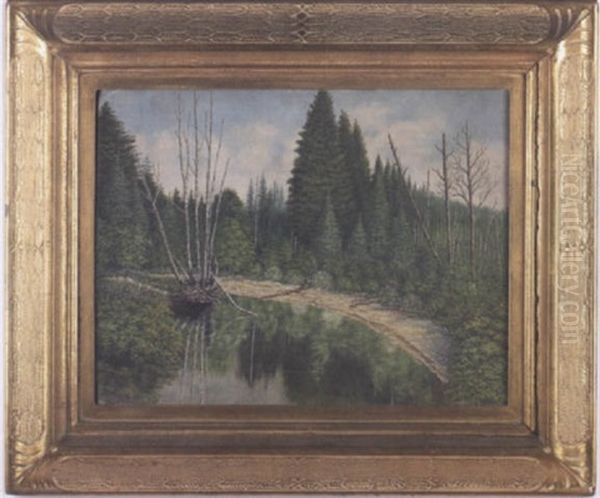 Forest Landscape, Raquette Lake, Ny (?) - view 1