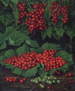 Red Currants On The Forest Floor