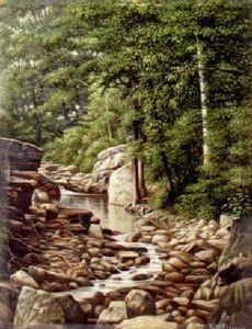 The Stream