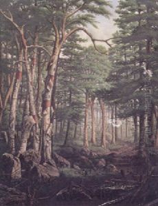 Birch Trees In Forest by Levi Wells Prentice