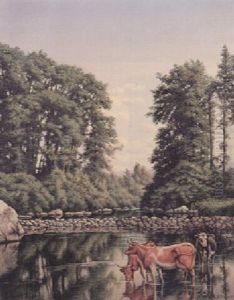 Grazing Cattle