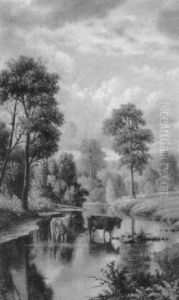 Cows In A Stream Cows In A Stream