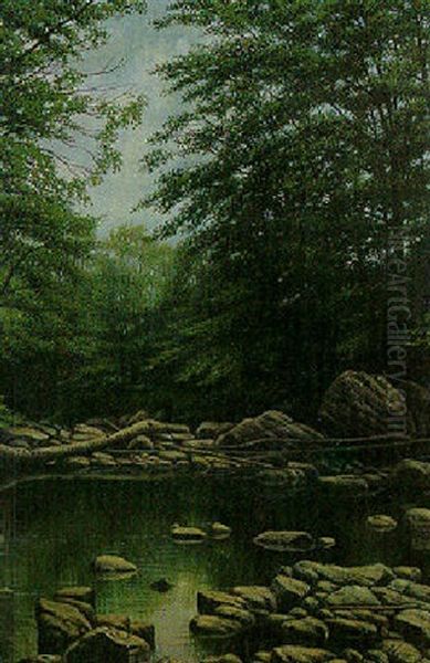 Woodland Lake - view 1