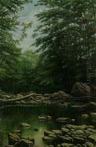 Woodland Lake
