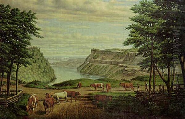 Niagara River Above Lewiston, New York - view 1