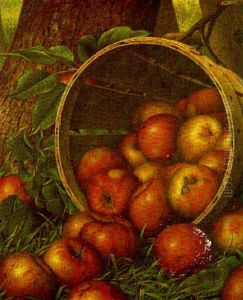 Basket Of Apples At The Foot Of A Tree