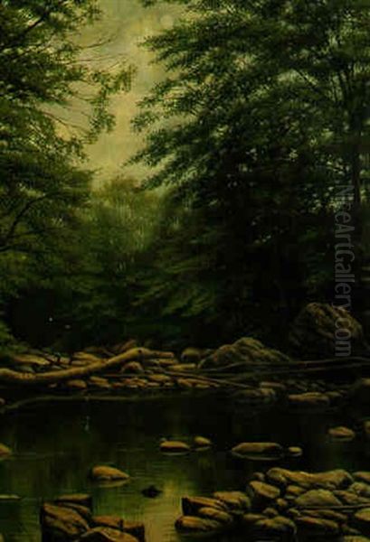Woodland Lake - view 1