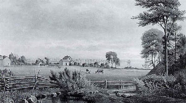Buffalo, New York - view 1