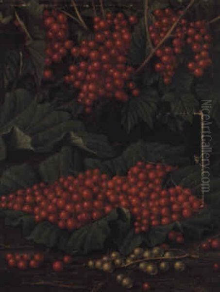 Currants - view 1