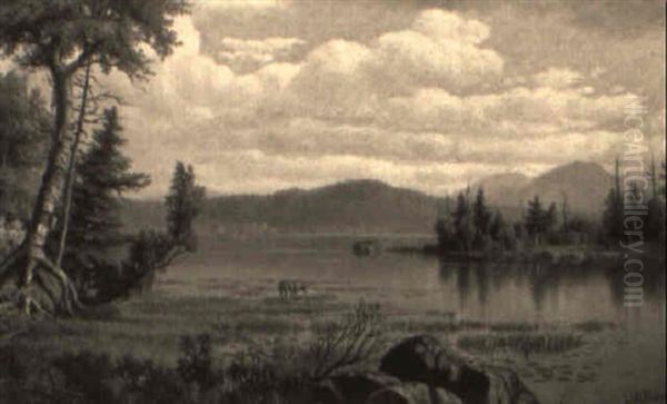 Raquette Lake, New York - view 1
