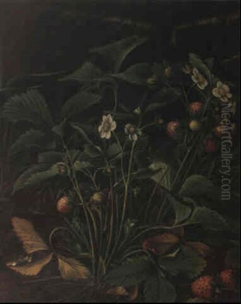 Still Life With Strawberries - view 1