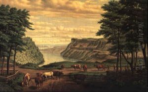Cattle Grazing By The Niagara River Cattle Grazing By The Niagara River