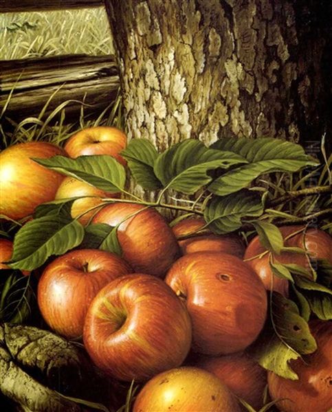 Apples And Tree Trunk - view 1