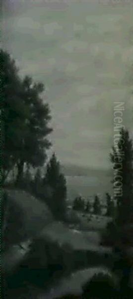 The Lake Shore - view 1