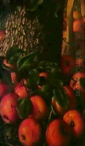 Basket Of Apples Beneath A Tree - view 1