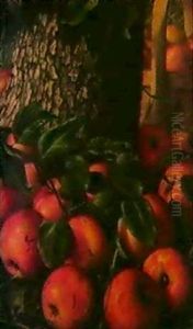 Basket Of Apples Beneath A Tree Basket Of Apples Beneath A Tree
