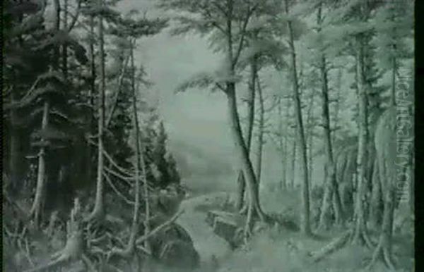 At The Water's Edge - view 1