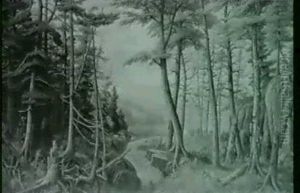 At The Water's Edge