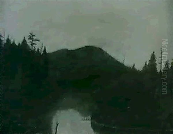 A Meandering River - view 1