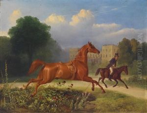 Ein Ungestumes Pferd by Johann Erdmann Gottlieb Prestel