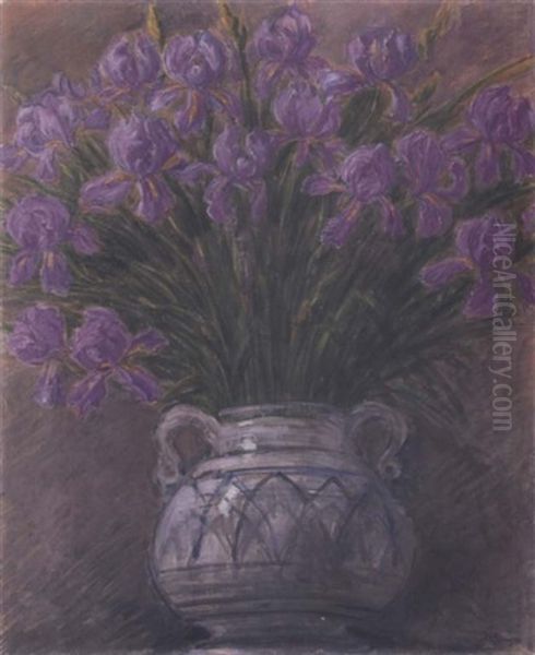 Iris - view 1
