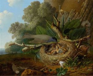 Bird Nest by Jean Louis Prevost