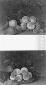 Nature Morte De Pommes Nature Morte De Pommes