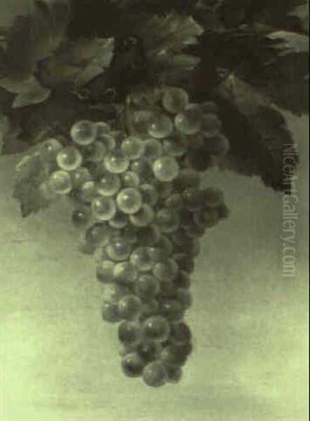 Still Life With Grapes - view 1