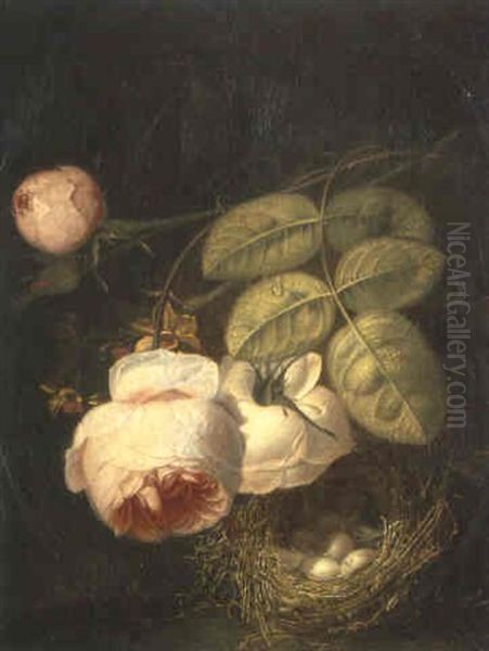A) Nature Morte Au Nid                                      B) Nature Morte De Fruits - view 1