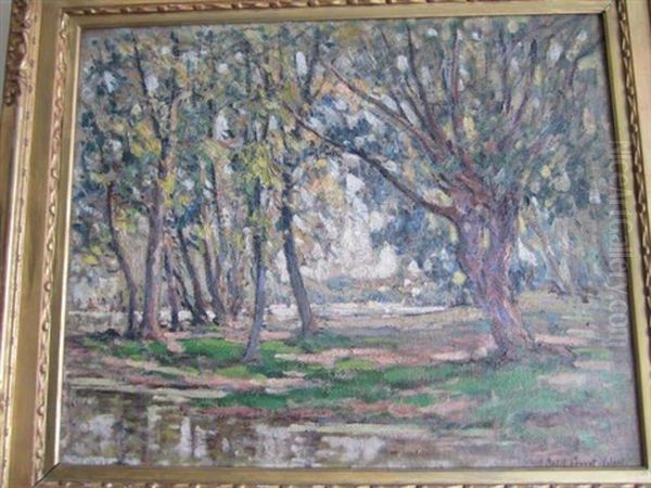 Sous-bois - view 1