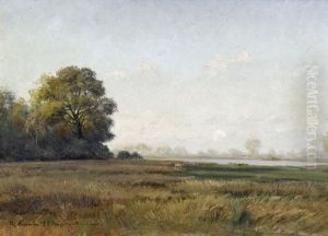 Etang A Versailleux, Dombes Etang A Versailleux, Dombes