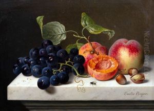 Fruchtestilleben Mit Trauben, Pfirsichen Und Nussen Auf Einem Marmorpodest by Emilie Preyer